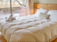 Nativa Crazy Friendly