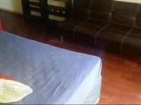 Bellas Artes Loft Duplex Amoblado Diario