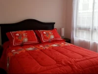 Nexo Optimo Monjitas