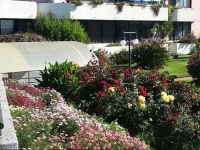 Departamento Duplex Vista Mar