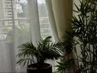 Departamento Edificio ViГ±a Plaza 5