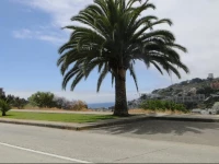 Departamento La Palmera