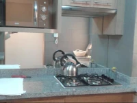 Departamentos ReГ±aca Park