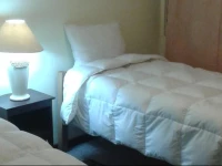 Hostal Casamar-ViГ±a