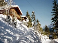 Ferienchalet Monika OG