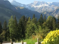 Two-Bedroom Apartment Im RГ¤geboge