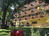 Alpenhotel + Restaurant Sardona