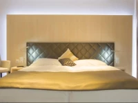 Hine Adon Bern Airport