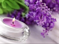 Charming Apartment in Bern