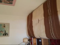 Birsfelden Nature View