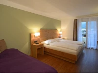 Hotel Brienz