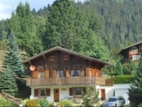 Apartment Pinocchio Muhlebach