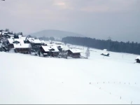 Ferienwohnung Aeschi Park