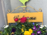 Homestay Color Dream Rooms