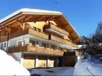 Apartment Alpin DG 4.5 - GriwaRent AG