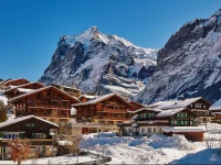 Apartment Chalet Fagus 3*