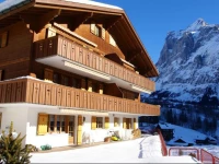 Apartment Fieschersunne 3.5 - GriwaRent AG