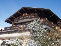 Chalet Alpstein