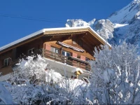 Chalet Am Hang 1*