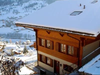 Apartment Aphrodite II Grindelwald