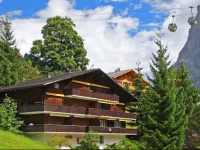 Apartment Bodmi Sunne Grindelwald