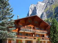 Apartment Chiebrendli Grindelwald