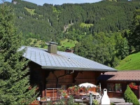 Apartment Schwendi I Grindelwald