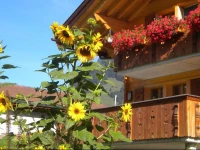 Apartment Ufem Stutz Grindelwald