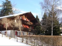 Chalet GrГјnegg