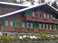 Schwendi VIII Grindelwald