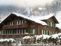 Schwendi X Grindelwald