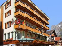 Three-Bedroom Apartment Hotel Hirschen 1