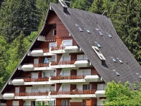 Apartment Anemone II Gryon