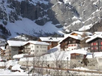 Apartment Bergkristall