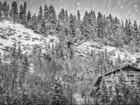 HГґtel Le Grand Chalet