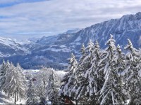 Apartment Hortensia Leysin