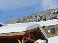 Holiday home Alina Leysin