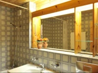 Schweizerhof Ferienwohnungen Lenzerheide 5