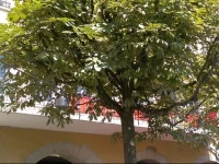 HITrental Old Town Apartments