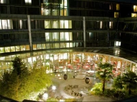 Alpha-Palmiers By Fassbind