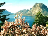 Luxury Home Barony Le Pergole Lugano Castagnola