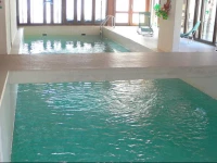 Jeanne dArc Montana I