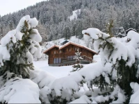 Chalet Altitude 1600