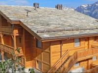 Apartment La Crevasse I Nendaz Station