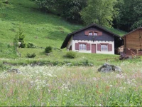 Holiday home Gentil Nid Nendaz Station