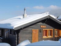 Holiday home Mustela Nendaz Station