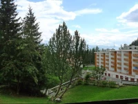 Apartment Randogne 4