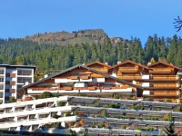 Apartment Terrasse Des Alpes II Crans-Montana