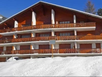 Apartment Ermitage Villars sur Ollon