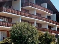 Apartment Le Mont Blanc I Chesieres